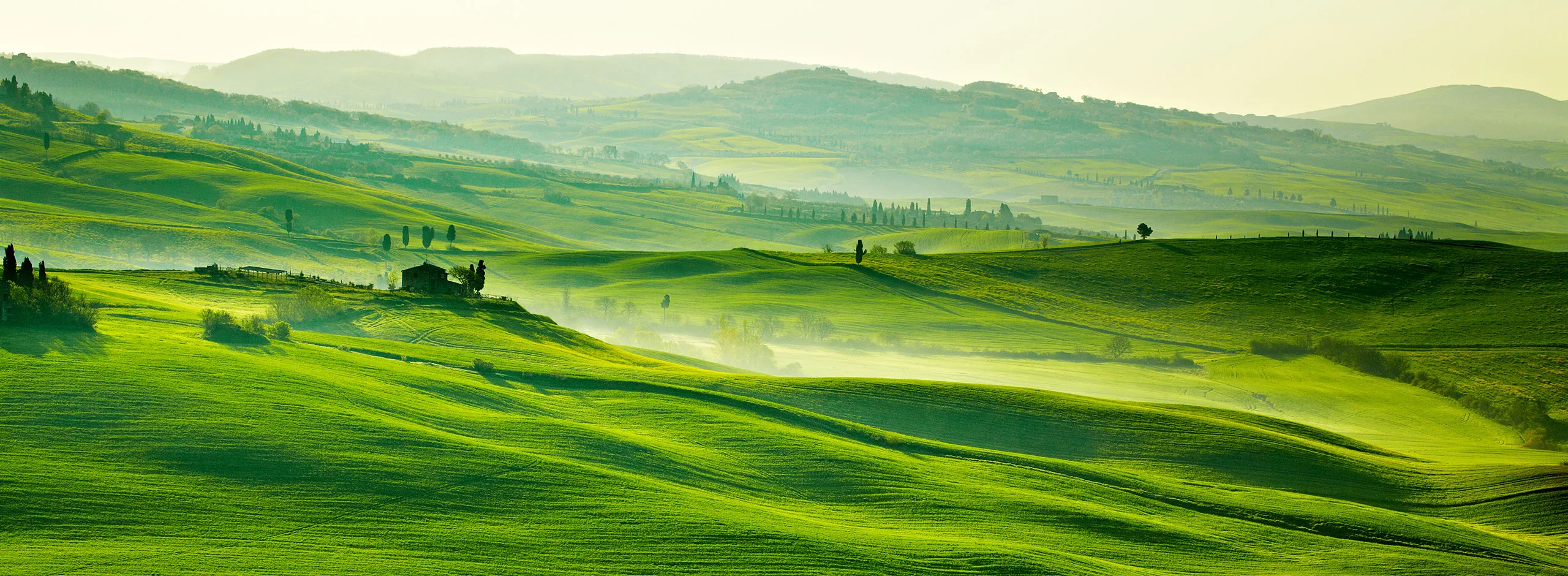 Noi della notte 2 The well-being generated by the territory